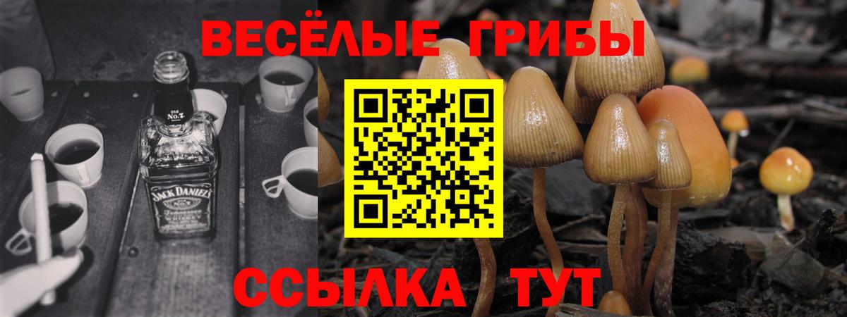 Галлюциногенные грибы прущие грибы Бузулук
